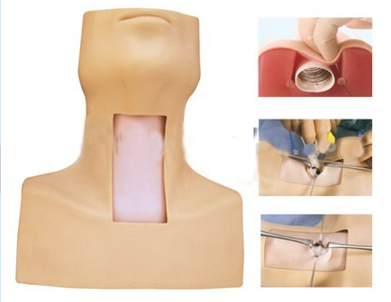 高级气管切开插管训练模型BIX-J58 