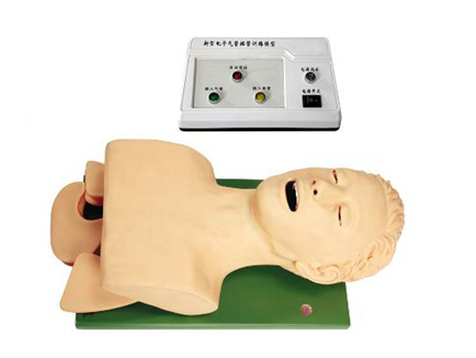 电子人体气管插管训练模型BIX-J5S 