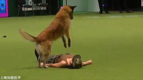 心肺复苏模拟人