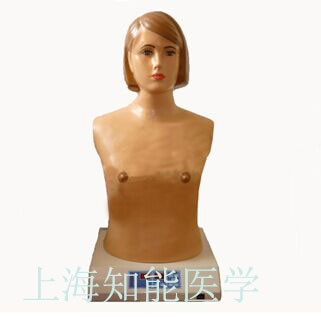 心肺听诊触诊电脑模拟人