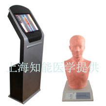 经穴学及针刺仿真训练系统