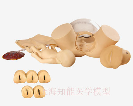 高级分娩综合技能训练模型价格多少