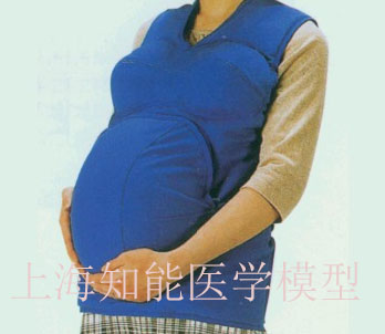 高级着装式孕妇模型