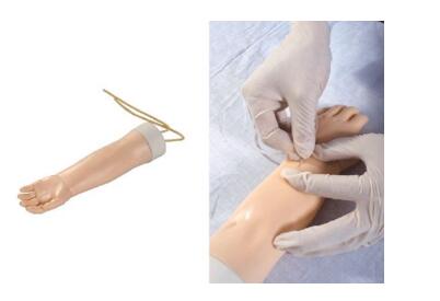 静脉穿刺模型.jpg