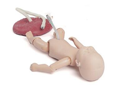 新生儿脐带护理模型